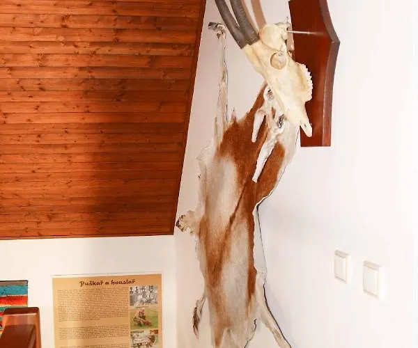 Apartman U Vágnera Dvůr Králové nad Labem